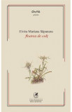 Floare de colt - Elvira Mariana Sapunaru, 2020