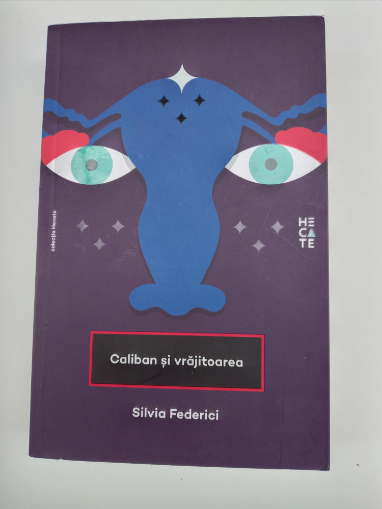 SILVIA FEDERICI - CALIBAN SI VRAJITOAREA | arhiva Okazii.ro