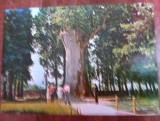 QW27 T - Carte postala - tematica turism - vedere - Romania - Tebea 3, Circulata, Printata, Hunedoara