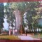 QW27 T - Carte postala - tematica turism - vedere - Romania - Tebea 3