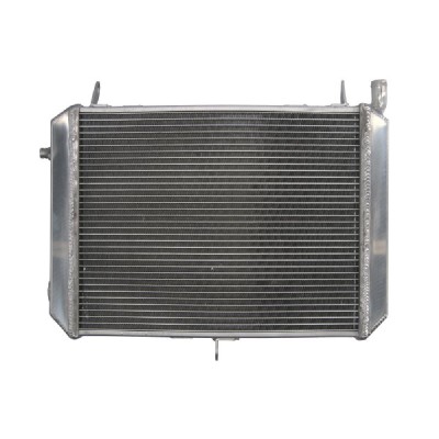 RADIATOR YAMAHA FJR 1300 2001 2005 foto