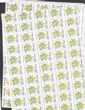 Argentina 1985 100 x Flowers in block Mi.1755 MNH S.711, Nestampilat