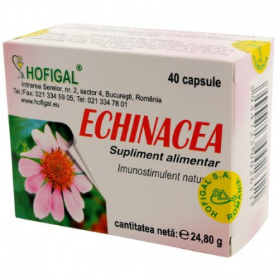 Echinaceea Hofigal 40cps foto