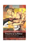 Trauma și sufletul Donald Kalsched carte spiritualitate Herald Paperback