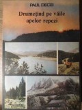 DRUMETIND PE VAILE APELOR REPEZI-PAUL DECEI-275418