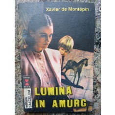 XAVIER DE MONTEPIN - LUMINA IN AMURG
