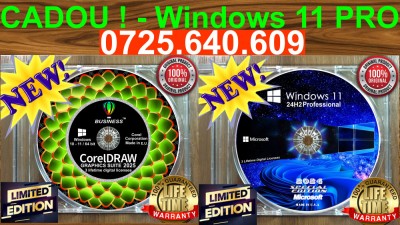 CorelDRAW Graphics Suite Business 2025-3 Lifetime lic/CADOU Windows 11 foto