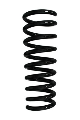 SPIDAN 55571 Arc spiral foto