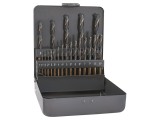 Set burghie HSS pentru metal Alpen-Maykestag 21 buc cod 0000810400100