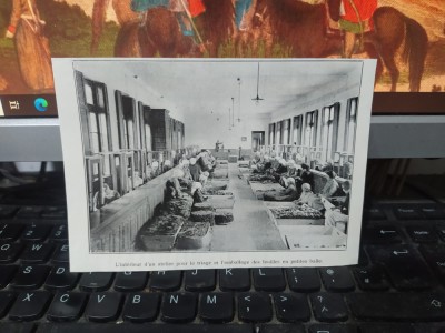 Cultura tutunului, atelier pentru trierea și ambalarea foilor, circa 1920, 082 foto
