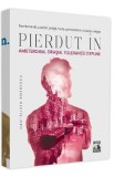 Pierdut in Amsterdam, orasul tolerantei depline - Dan-Silviu Boerescu