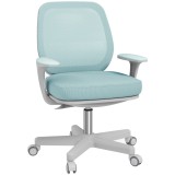 Vinsetto Scaun de Birou Ergonomic, Reglabil pe &Icirc;nălțime și Respirabil, Verde | Aosom Romania