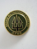 QW9 N 65 - insigna - militar - Brigade multinationale Nord-Est - KFOR, Europa