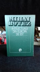 INTELECTUALII DIN EUROPA DE EST - MIHAI BOTEZ foto