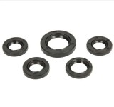 Set Semeringuri Ambielaj GY6 50cc 139QMB Baotian Kymco Rex Peugeot Rieju Sachs 4T Scutere Chinezesti 50-80cc 5 piese