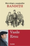 Banditii | Vasile Ernu, Polirom