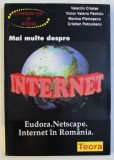 MAI MULTE DESPRE INTERNET - EUDORA . NETSCAPE . INTERNET IN ROMANIA de VALENTIN CRISTEA ...CRISTIAN PETCULESCU , 1996