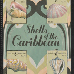 Antigua si Barbuda 2011-Fauna,Moluste,Scoici,bloc 4 valori,MNH,Mi.4918-4921KB