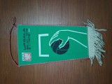 FANION CLUB SPORTIV SUEDIA HANDBAL , ANII 1970 INTERESANT