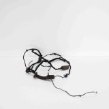 Cablaj ușă dreapta spate BMW 6 Gran Turismo G32 2019 OEM: 4045688,8795426 11599749