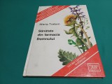SĂNĂTATE DIN FARMACIA DOMNULUI * MARIA TREBEN / 1998 * 34