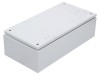 Carcasă Universală Spacial SBM IP66 200x400x120mm