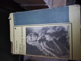 Istoria literaturii rom&acirc;ne vintage