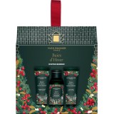 Yves Rocher Winter Berries set cadou pentru femei 3 buc