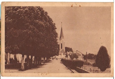 CPIB 18009 CARTE POSTALA - LUGOJ - SPLAIUL TEATRULUI, RPR foto