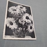 Cumpara ieftin CARTE POSTALA INTERBELICA FELICITARE NECIRCULATA