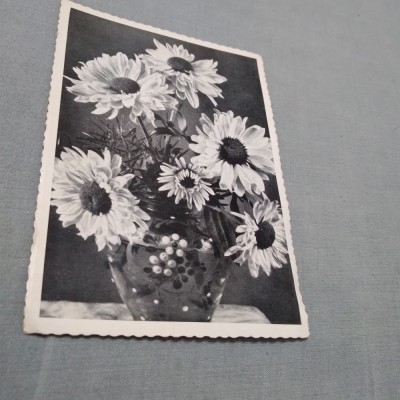 CARTE POSTALA INTERBELICA FELICITARE NECIRCULATA foto