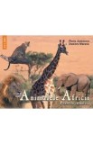Animalele Africii - Florin Andreescu, Dumitru Murariu