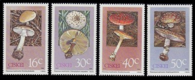 Ciskei 1988 - Ciuperci, serie neuzata foto