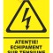 Indicator pentru echipamente electrice sub tensiune