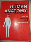 Human anatomy Head,neck &amp; brain - B. D. Chaurasia`s