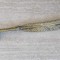 GHIARA METAL. PRODUS DE COLECTIE, DECOR-248710