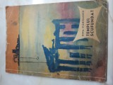 Cumpara ieftin Templul scufundat - Nina Stanculescu