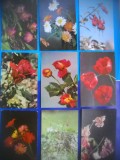 HOPCT LOT NR 355 FLORI -9 CARTI POSTALE-RPR-CIRCULATE