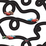 Rola tapet 10 X 0,52m Disney Cars TA01897, DECOFUN