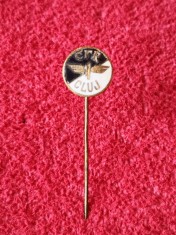 Insigna fotbal - CFR CLUJ foto