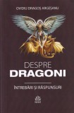 Ovidiu Dragoș Argeșanu - Despre dragoni. Intrebari si raspunsuri