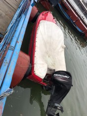barca si peridoc fara motor foto