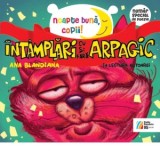 Intamplari cu si fara Arpagic. In lectura autoarei (audiobook) - Ana Blandiana