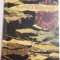 PLANTELE MEDICINALE IN APARAREA SANATATII de CORNELIU CONSTANTINESCU , EDITIA A II A , 1967