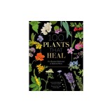 100 Plants That Heal: The Illustrated Herbarium of Medicinal Plants