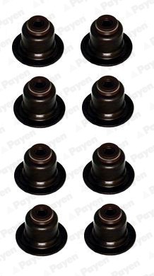PAYEN HR809 Set garnituri, ax supape foto