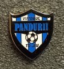 Insigna fotbal - VIITORUL PANDURII TARGU JIU
