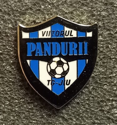 Insigna fotbal - VIITORUL PANDURII TARGU JIU foto