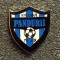 Insigna fotbal - VIITORUL PANDURII TARGU JIU