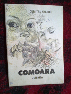 d4 Comoara - Dumitru Vacariu foto